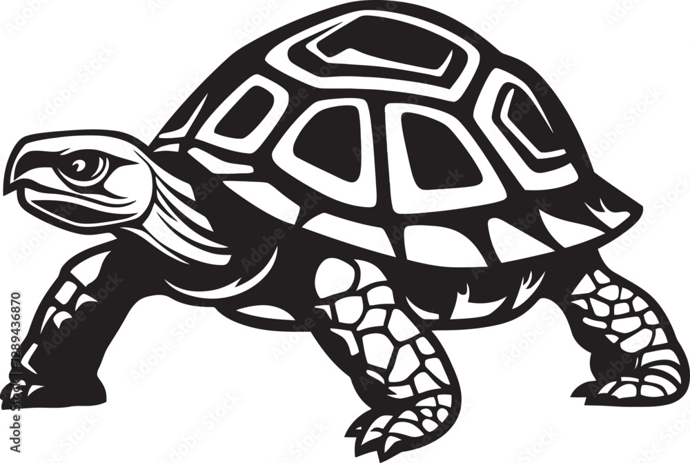 Fototapeta premium The Importance of Tortoises in Ecosystem Dynamics A Study of Their Role in Habitat Maintenance