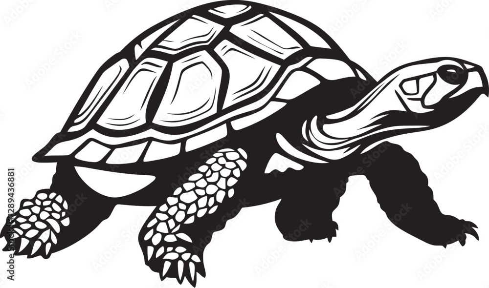 Fototapeta premium The Role of Tortoises in Soil Health How They Contribute to Nutrient Cycling in Ecosystems