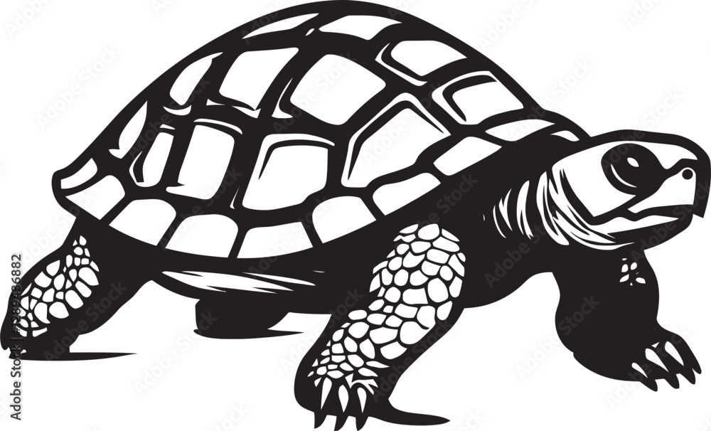 Fototapeta premium Tortoise Friendly Practices for Homeowners How to Create a Safe Environment for Wildlife