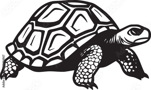 The Symbolism of Tortoises in Mythology Lessons on Longevity and Wisdom