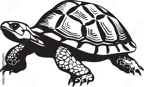 The Intersection of Art and Conservation How Tortoises Inspire Creativity and Action