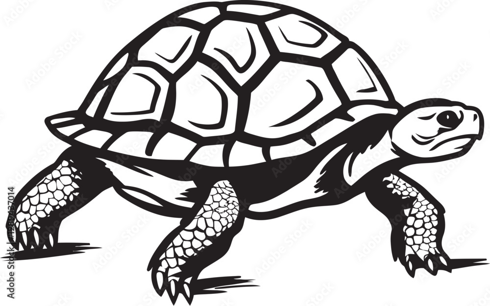 Fototapeta premium Tortoise Interactions How These Slow Moving Creatures Engage with Their Environment