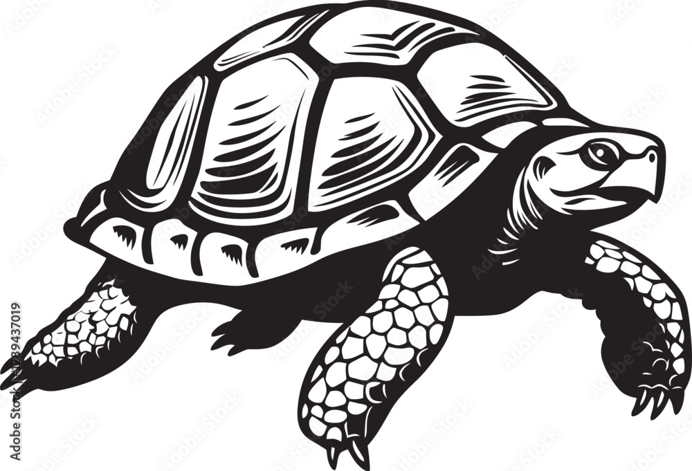 Fototapeta premium The Legacy of Tortoises Cultural Reflections on Longevity and Endurance in Nature