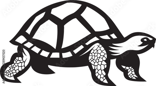 The Impact of Road Construction on Tortoise Populations A Call for Awareness and Action