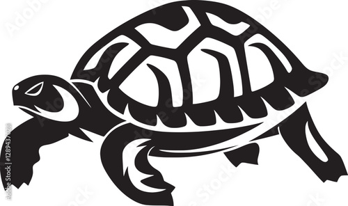 Understanding Tortoise Behavior A Look into Their Daily Lives and Social Structures