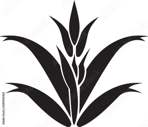 The Impact of Aloe Vera on Hair Growth Myths  Facts  and Best Practices