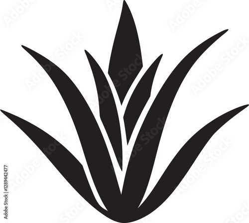 Aloe Vera and Its Role in Fertility and Reproductive Health