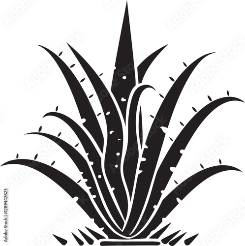 How Aloe Vera Supports Oral Hygiene A Natural Approach to Dental Health