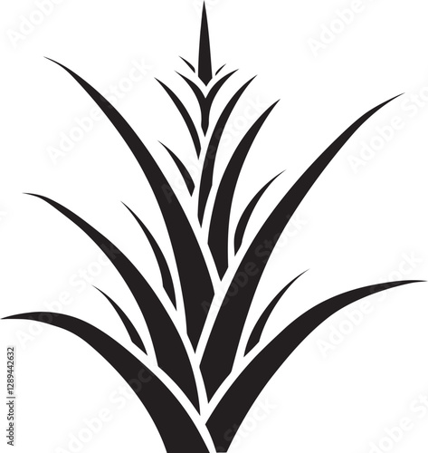 How to Use Aloe Vera for Acne Scars Natural Treatments and Remedies