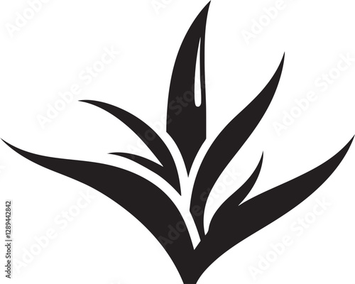 Aloe Vera for Healthy Gums Natural Remedies for Oral Health