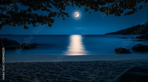 Serene moonlit beach at night with calm ocean and tree branches.