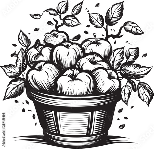 Celebrating the Seasons with Apples Why a Basket Represents the Best of Fall