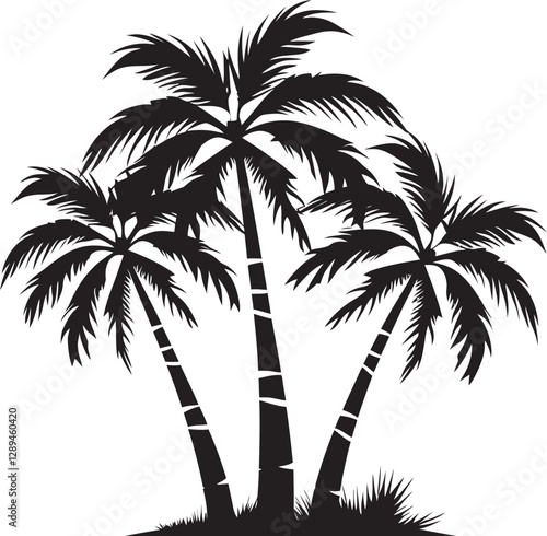 Exploring the Use of Beach Palm Trees in Landscaping Design Tips for Coastal Properties