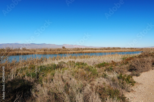 Albufera de Rambla de Morales in Cabo de Gata, Provinz Almería, Autonome Gemeinschaft Andalusien, Spanien photo