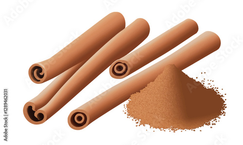 Close-up of cinnamon isolated on white background. Cinnamon sticks and cinnamon powder. Cinnamon spice isolated. Vector illustration.