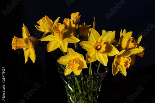 Spring Flowers in a vase