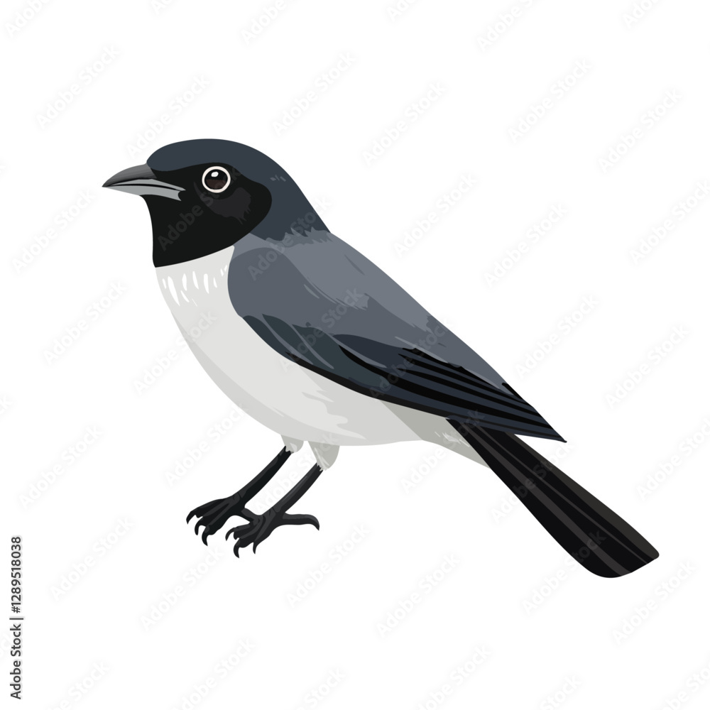 Minimalist flat illustration of Cuckoo Shrike, featuring a clean design isolated on a white background.
Minimalist flat illustration of Cuckoo Shrike, featuring a clean design isolated on a white background.