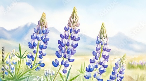 Beautiful colorful wild flowers in Spring.