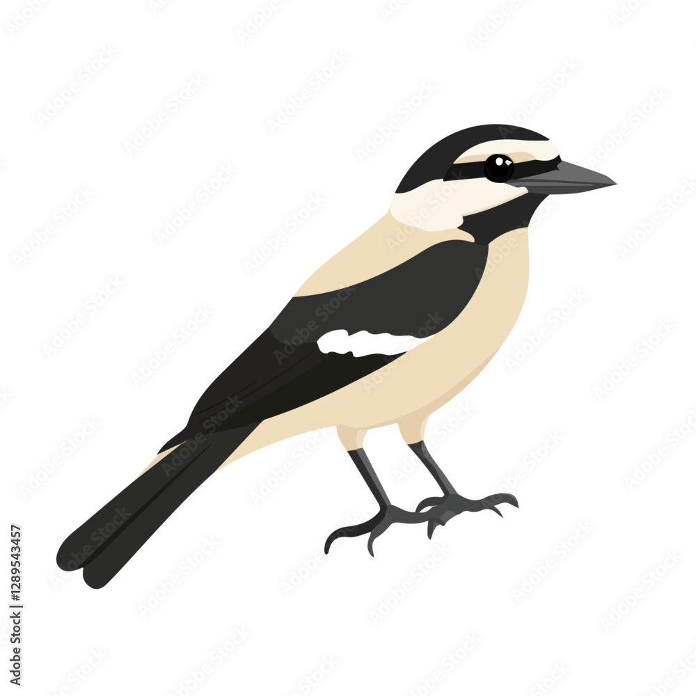 Minimalist flat illustration of a Shrike, featuring a clean design isolated on a white background.
Minimalist flat illustration of a Shrike, featuring a clean design isolated on a white background.