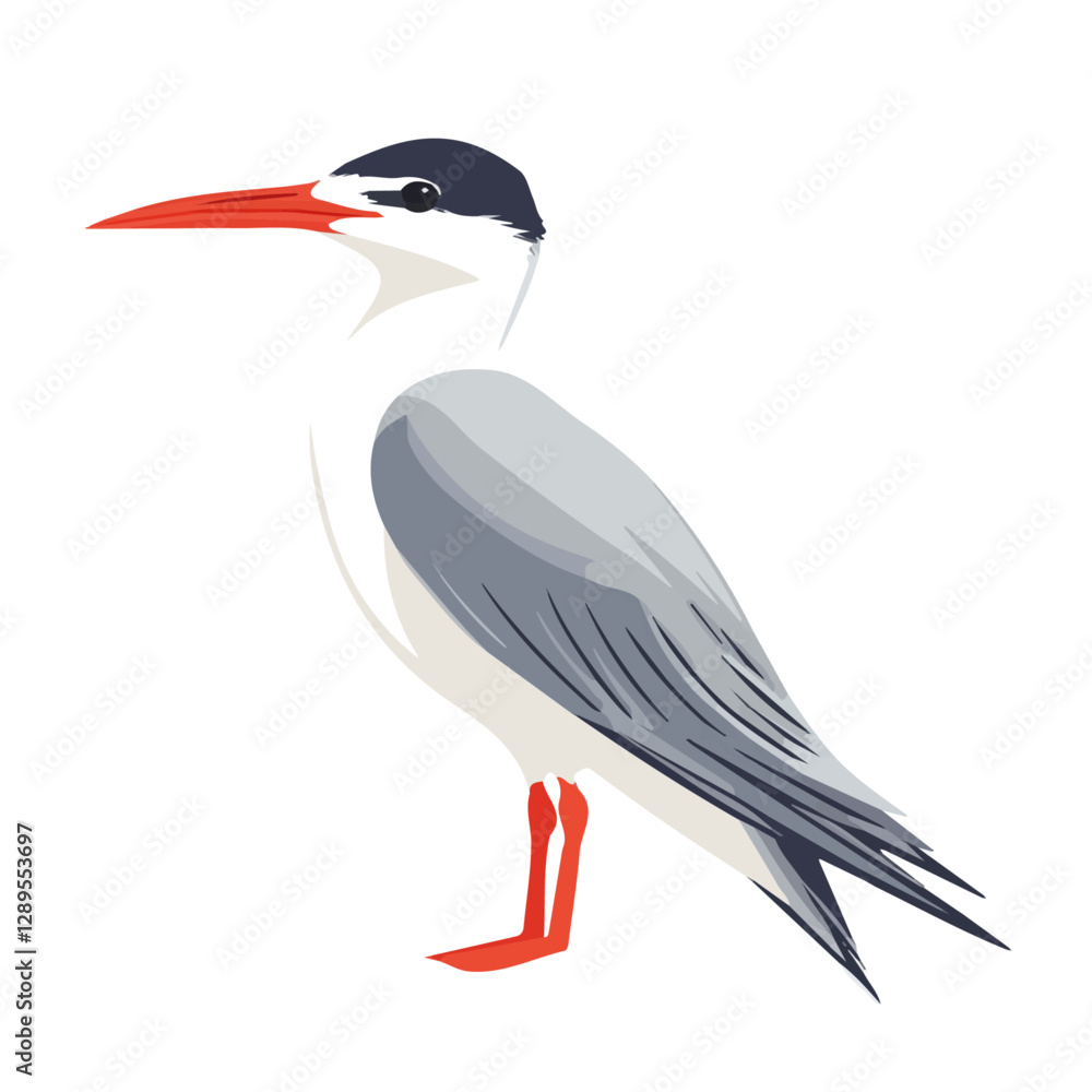 Minimalist flat illustration of Tern, featuring a clean design isolated on a white background.
Minimalist flat illustration of Tern, featuring a clean design isolated on a white background.