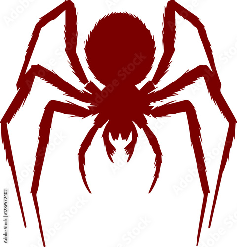 Haarige Spinne