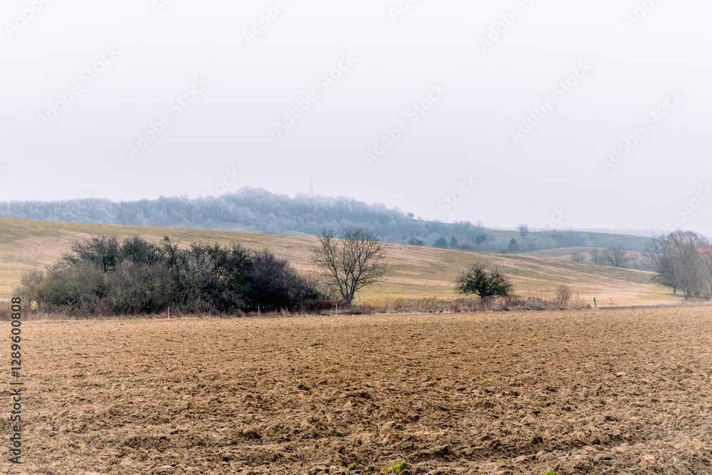 Obraz premium landscape. agricultural fields in winter