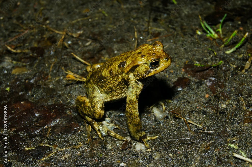 Obraz premium SONY DSC