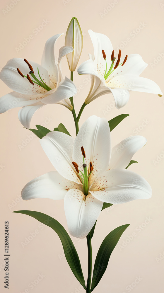 Close-up of a stem with blooming white lilies and a green bud, symbolizing purity, renewal, and natural beauty, set against a soft beige background. Close-up of a stem with blooming white lilies and a green bud, symbolizing purity, renewal, and natural beauty, set against a soft beige background.