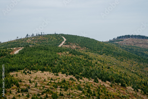Fototapeta Naklejka Na Ścianę i Meble -  autumn landscape with mountains