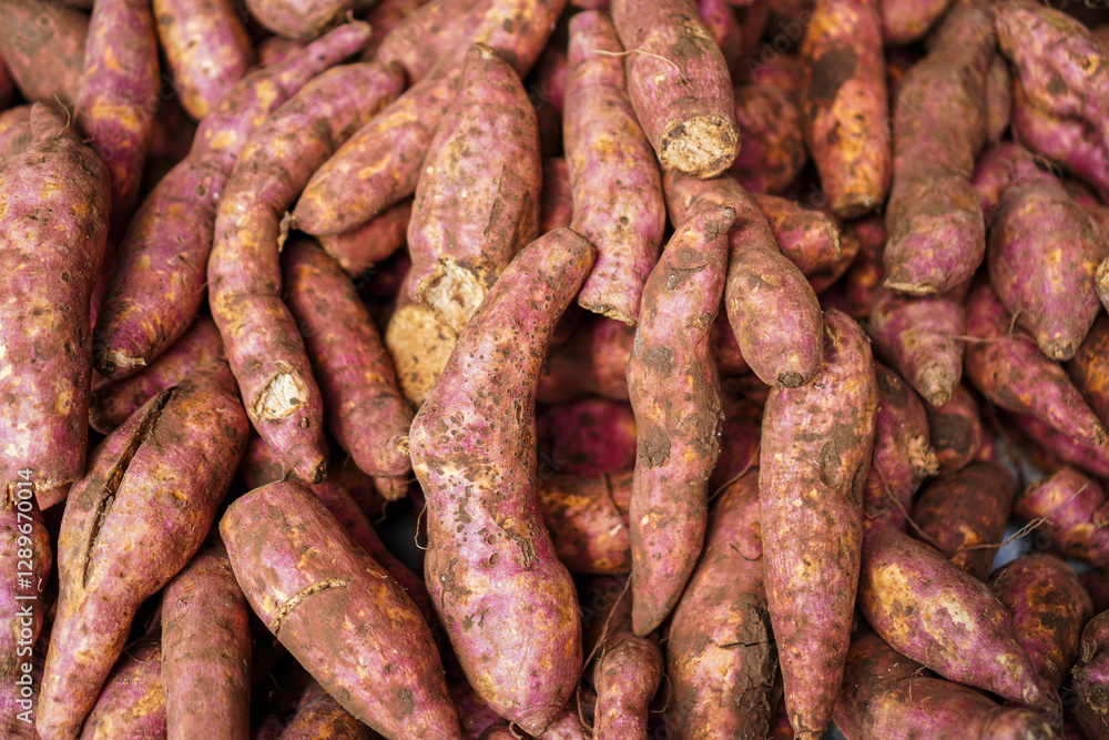 Close-up view of a pile of fresh sweet potatoes, showcasing their earthy tones and rough texture. A Pile of Sweet Potatoes at the Market. Close up sweet potatoes backgrounds. Close-up view of a pile of fresh sweet potatoes, showcasing their earthy tones and rough texture. A Pile of Sweet Potatoes at the Market. Close up sweet potatoes backgrounds.