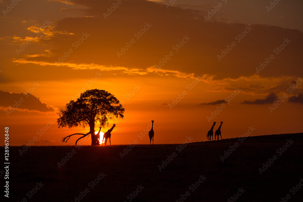 Giraffe Silhourtte with Sun and Tree Giraffe Silhourtte with Sun and Tree
