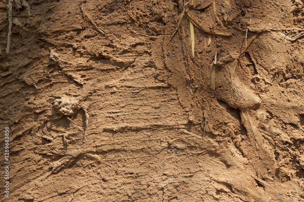 Obraz premium Natural Mud Texture with Earthy Patterns and Organic Details