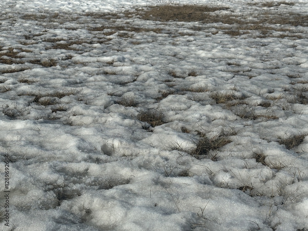 Snow in winter Snow in winter