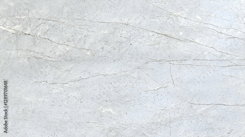 Wallpaper Mural White and Grey Speckled Texture Background Torontodigital.ca