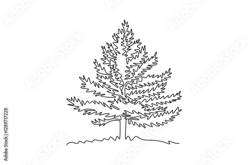 Continuous one line drawing beauty and exotic pine tree for home art wall decor. Decorative pinus plant for national park logo. Tourism travel icon. Single line draw design vector graphic illustration