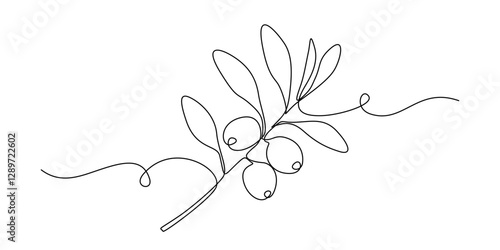 Olive branch in One continuous line drawing. Leaf tree with berry for banner or logo vegan healthy oil in simple linear style. Editable stroke. Doodle vector illustration