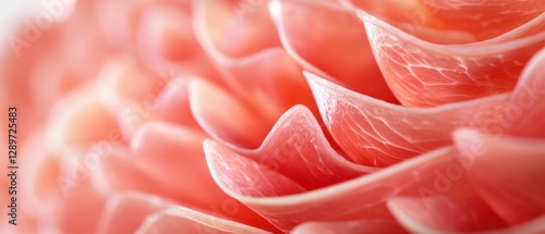 Wallpaper Mural Close-up of Prosciutto Slices Torontodigital.ca