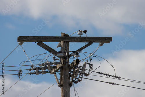 birds and high voltage power lines