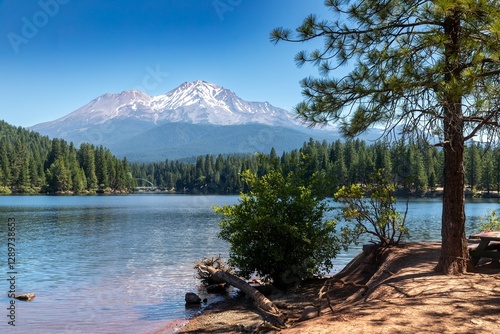 Fototapeta Naklejka Na Ścianę i Meble -  Peaceful lake scene with Mount Shasta snow-capped mountain. Tranquil waters reflect the majestic Mount Shasta. Lake Siskiyou, California, USA