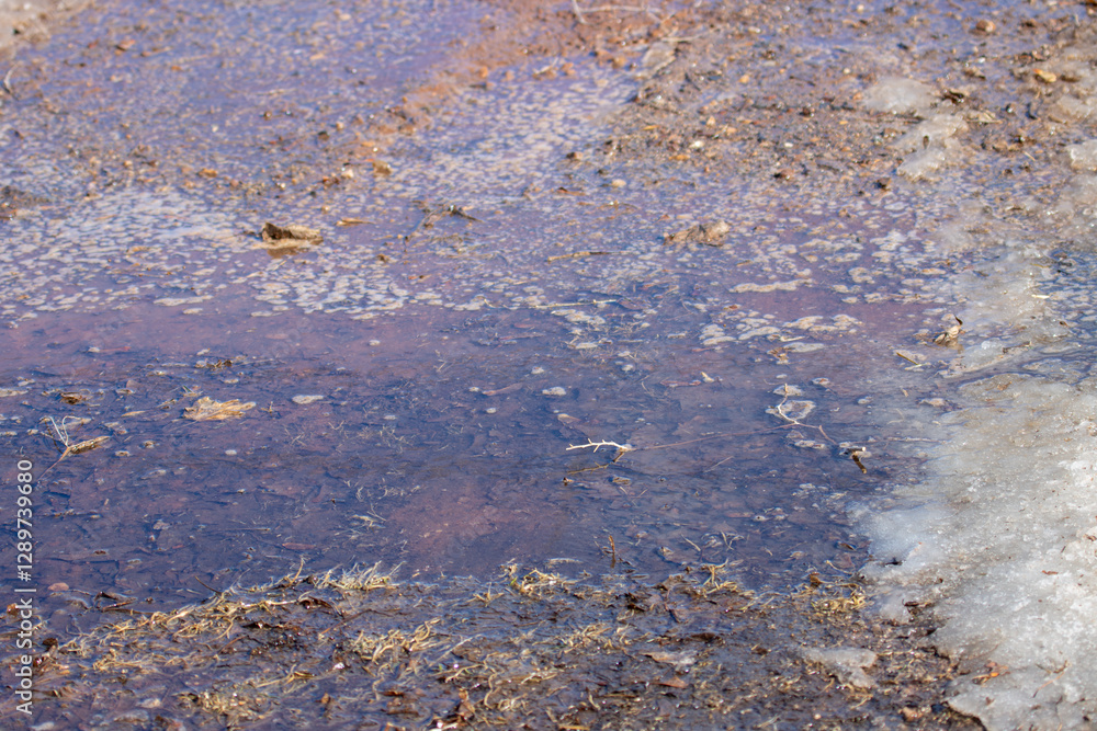 A puddle in the driveway with ice and snow A puddle in the driveway with ice and snow