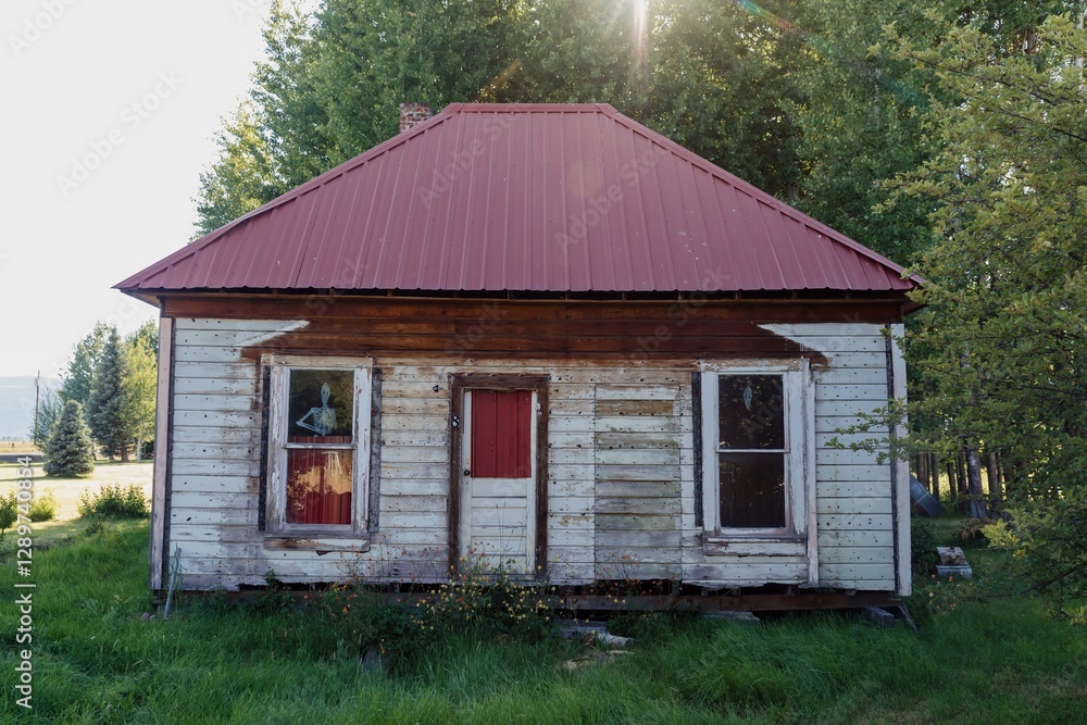 Weathered, old house with a reddish-brown metal roof, surrounded by trees and grass. Spooky skeleton decorations in windows. Rural, abandoned home. , Fort Klamath, Oregon, USA Weathered, old house with a reddish-brown metal roof, surrounded by trees and grass. Spooky skeleton decorations in windows. Rural, abandoned home. , Fort Klamath, Oregon, USA