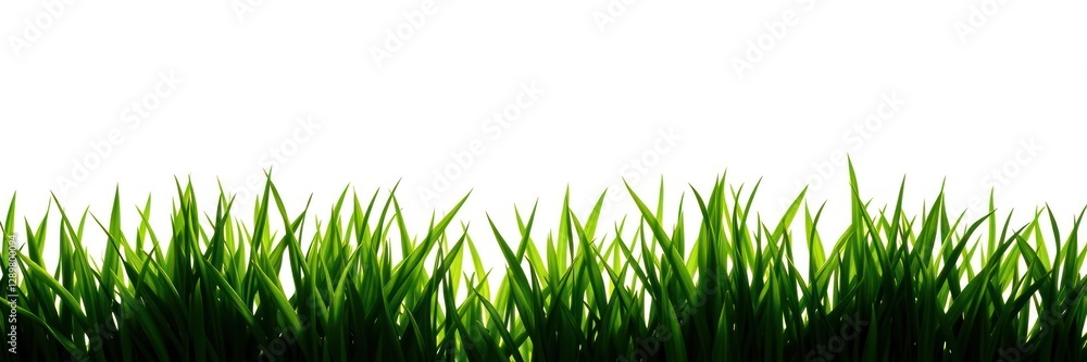 Lush green grass creates a vibrant border, illustrating the freshness of spring. The landscape appears alive, inviting moments of relaxation and enjoyment outdoors Lush green grass creates a vibrant border, illustrating the freshness of spring. The landscape appears alive, inviting moments of relaxation and enjoyment outdoors