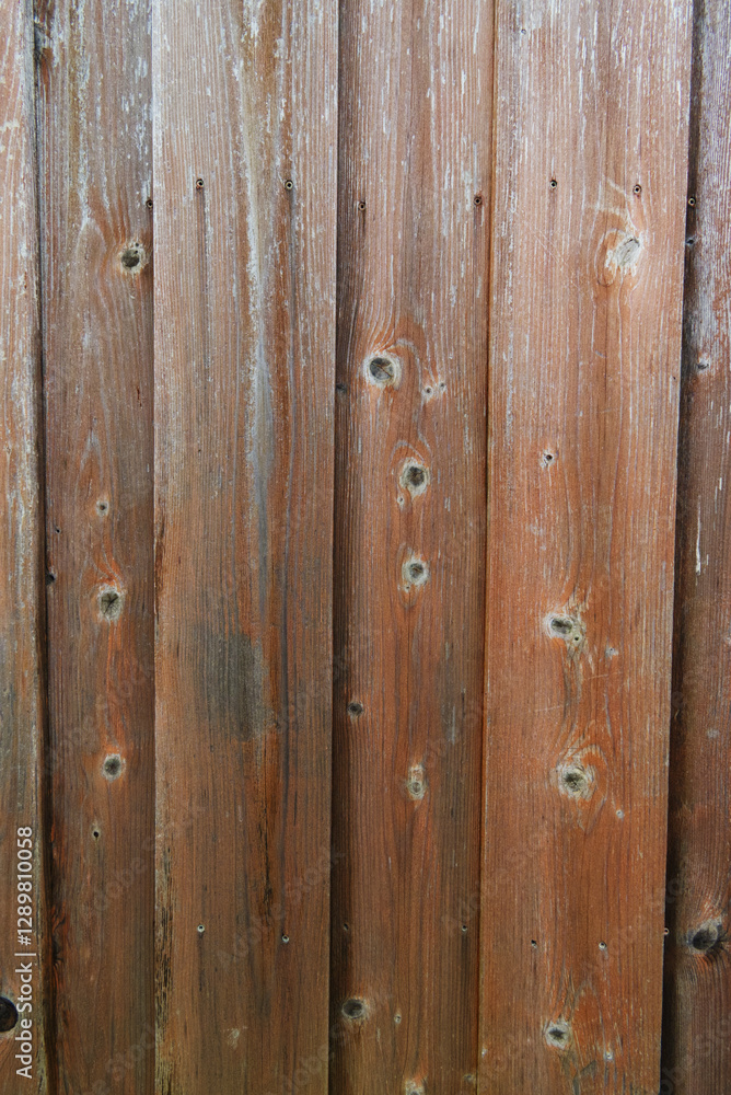 Fototapeta premium old wood fence