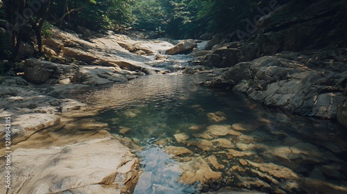 Tranquil River Scene in Lush Forest Setting