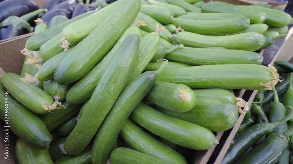 Fresh cucumbers displayed at local farmers market in summer sunlight alongside organic produce Fresh cucumbers displayed at local farmers market in summer sunlight alongside organic produce