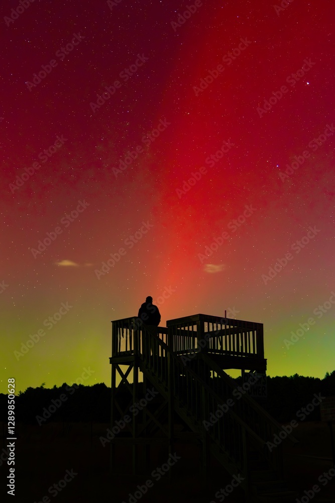 Fototapeta premium Northern Lights Silhouette 