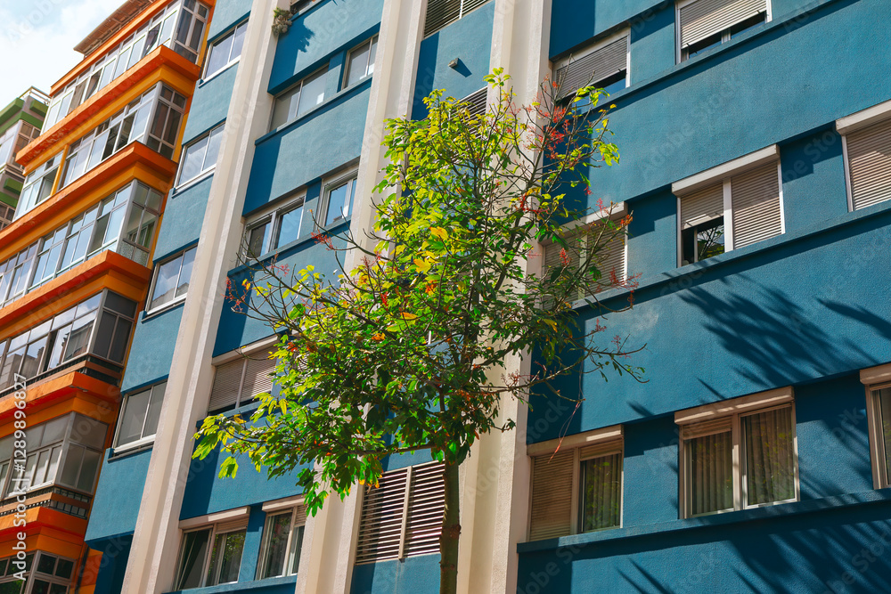 Multi story building with a blue facade and several windows, some of which have shutters. In front of building, there is a small tree with green and yellow leaves, casting shadow on building's wall
