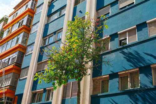 Obraz na płótnie Multi story building with a blue facade and several windows, some of which have shutters. In front of building, there is a small tree with green and yellow leaves, casting shadow on building's wall w salonie