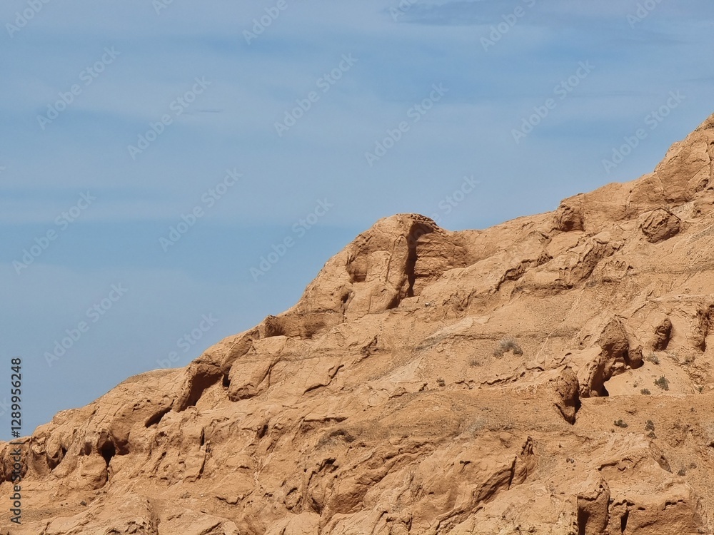 beautiful landscape of the desert
beautiful landscape of the desert