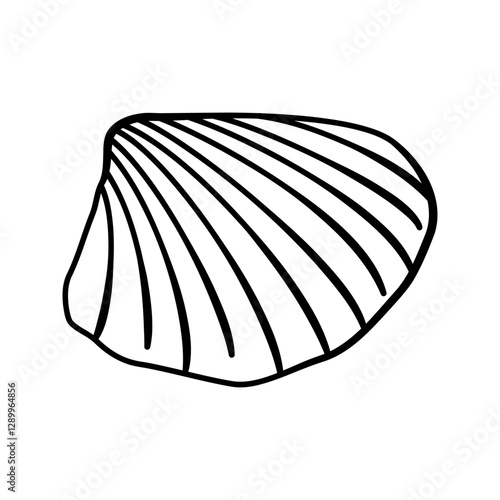 Sketched seashell icon, vector hand drawn design elements.